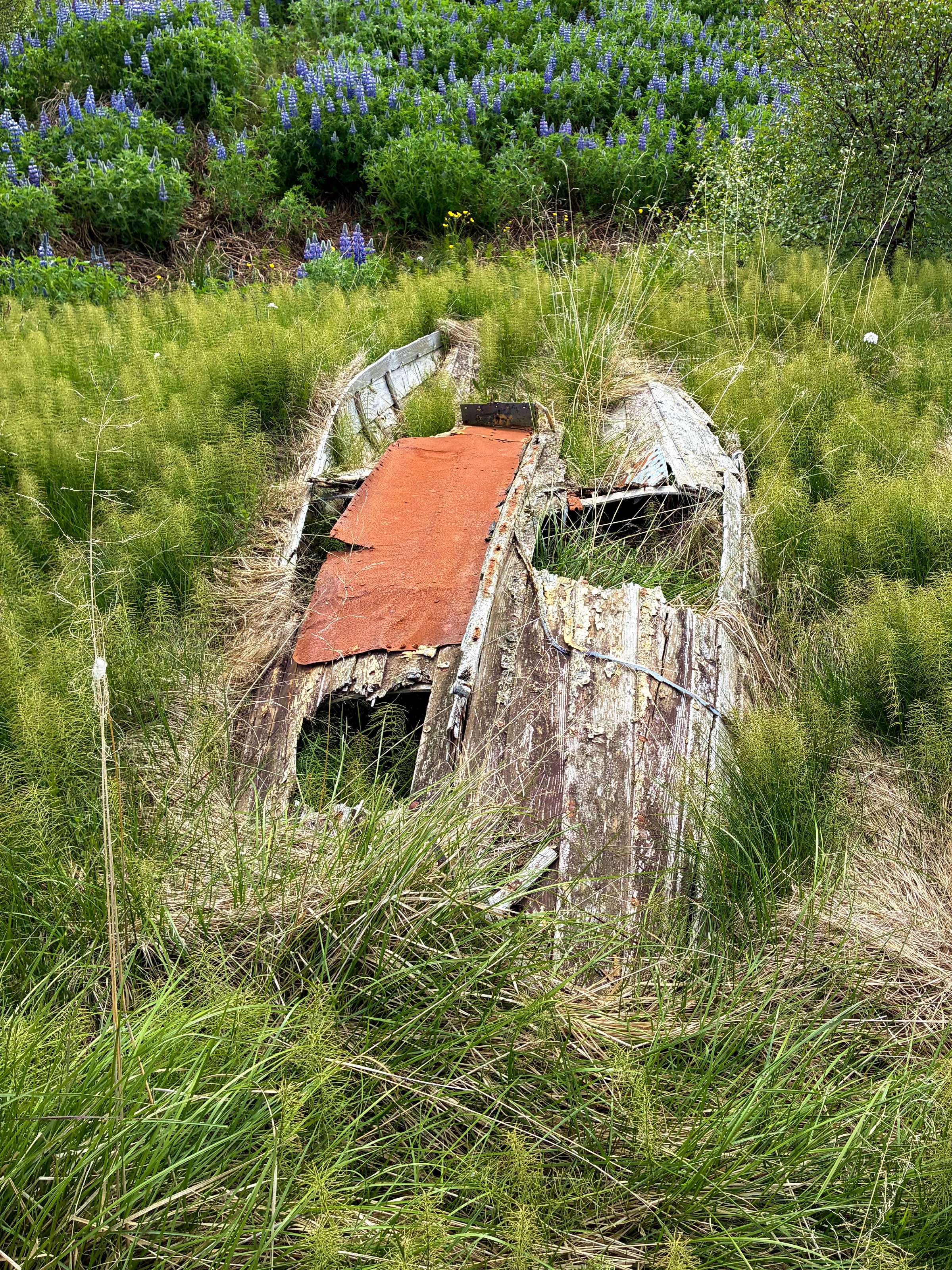 What is left of an old boat surrounded by grass.