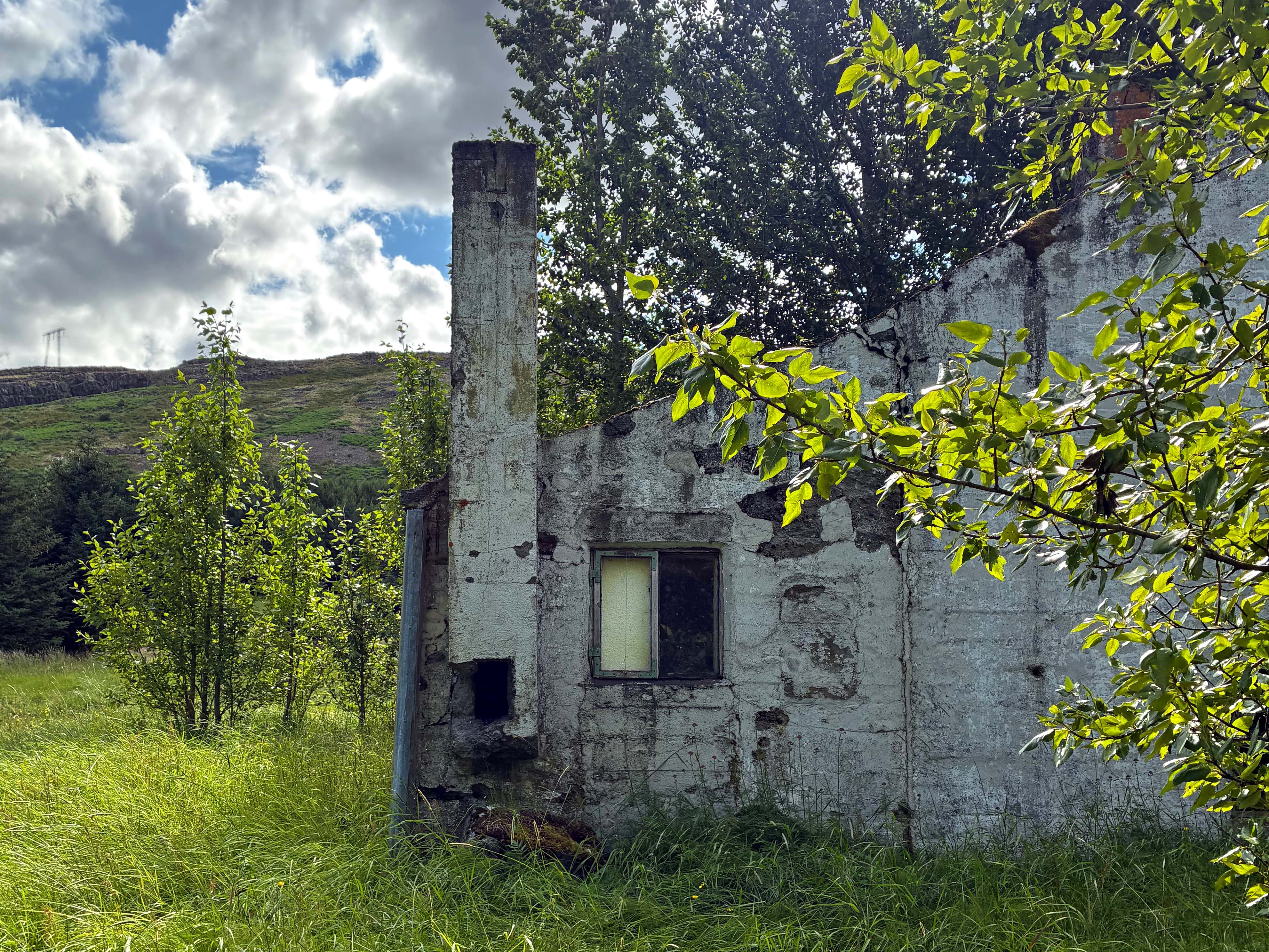 An abandoned house with a chimney surrounded by trees.