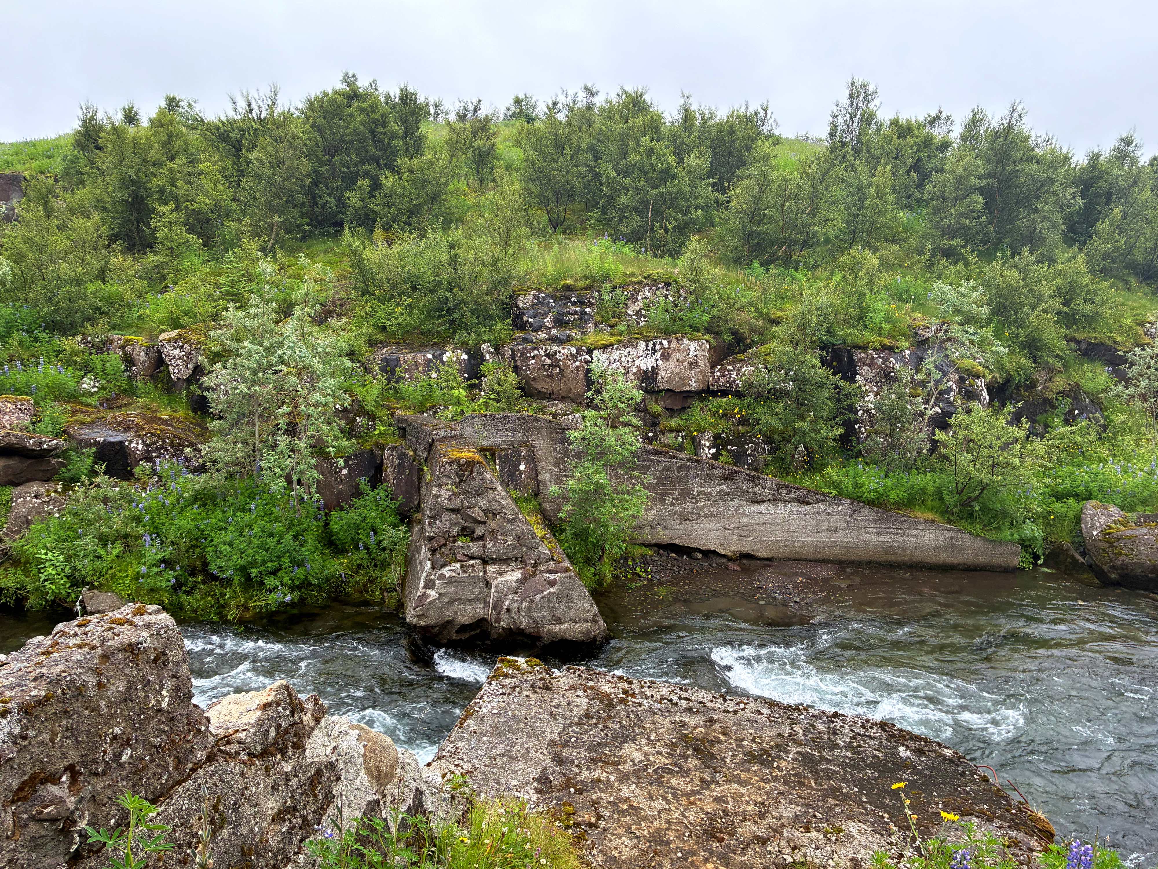 A close up of an abandoned hydropower station surrounded by trees.